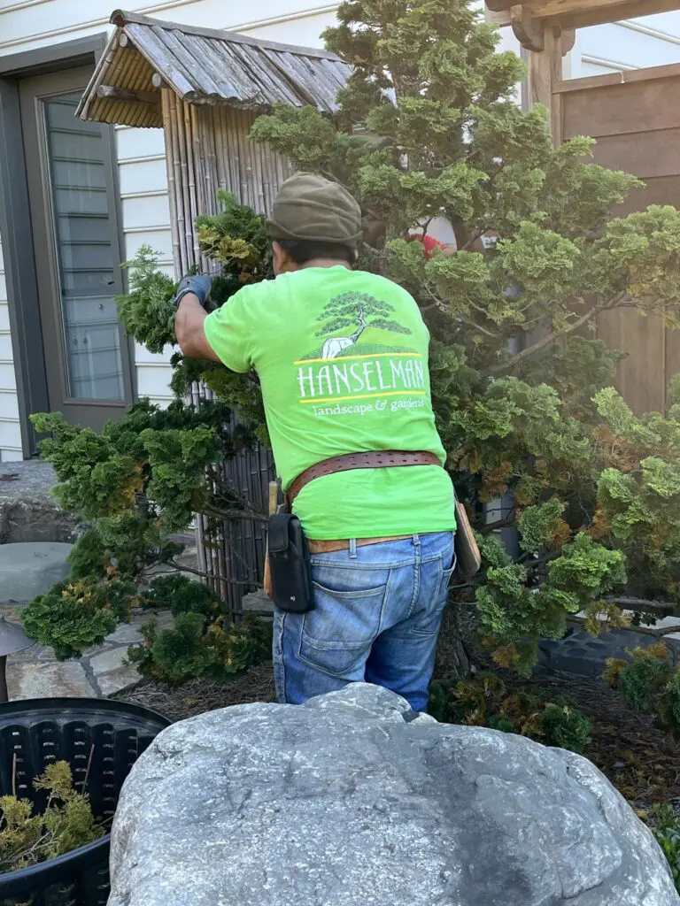 Your Garden Investment Needs Tlc 2 Your Garden Investment Needs Tlc 324629936 543404227724026 3681685778112283768 N