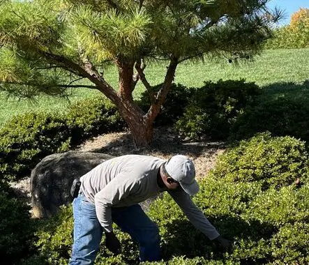 Your Garden Investment Needs Tlc 324663983 1324758288302713 6356629770190349148 N