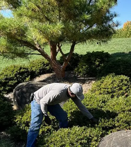 YOUR GARDEN INVESTMENT NEEDS TLC_featured_image