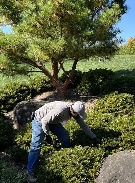 Your Garden Investment Needs Tlc 1 Your Garden Investment Needs Tlc 324663983 1324758288302713 6356629770190349148 N