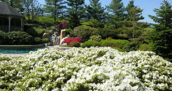 Garden Views In Spring 6 Garden Views In Spring 325843874 874635197116407 7173048024500548335 N