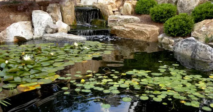 Dreamscapes . . . 12 Dreamscapes . . . 330920140 557515802992290 1595135848098490501 N