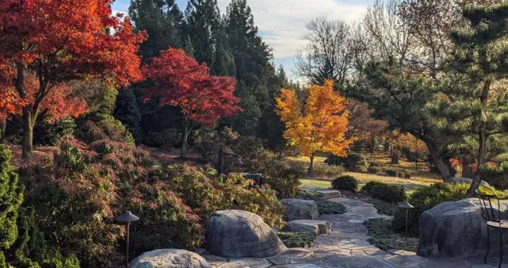 Puzzle-Piece Paths And Patios (Part 3) 6 Puzzle-Piece Paths And Patios (Part 3) 332035254 3110984062527728 8814118225529865020 N