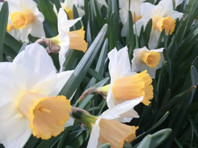 SPRINGTIME’S COMING!_featured_image