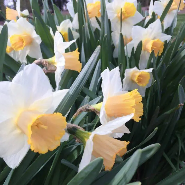 Springtime'S Coming! 2 Springtime'S Coming! 334792132 1487734461756195 6905414821795762128 N