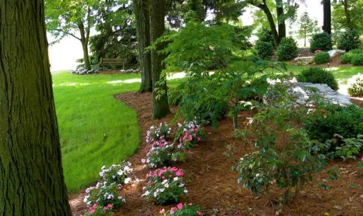 DON’T KILL YOUR PLANTS BY OVER-MULCHING!_featured_image