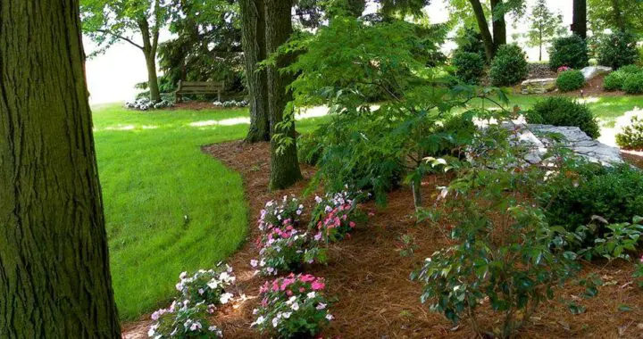 Don'T Kill Your Plants By Over-Mulching! 337008705 946390293057883 3708844271209233286 N