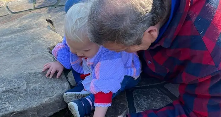 Marvelous Moss 2 Marvelous Moss 333069958 215643131019860 39368070125478279 N