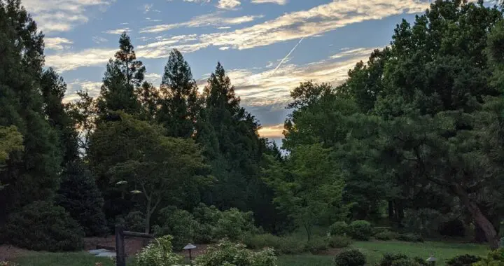 A Historian'S Garden View . . . . 333533122 757229706106147 2166601003519790792 N