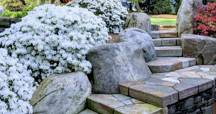 Green Things Growing 4 Green Things Growing Screenshot 2023 05 19 At 1.34.45 Pm