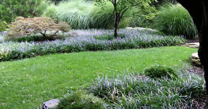 As Long As You Have A Garden . . . 325958473 1149349332436329 4937624806489001863 N