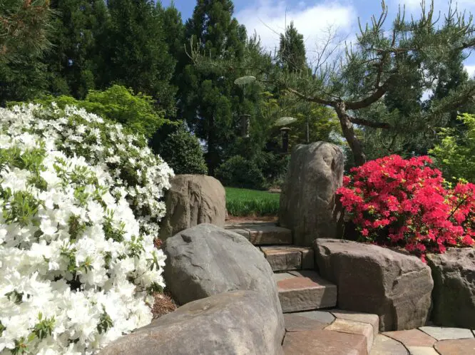 GARDEN VIEWS_featured_image