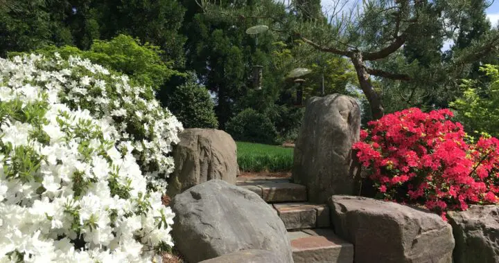 Garden Views 341349083 184267254432272 8270844804728769805 N