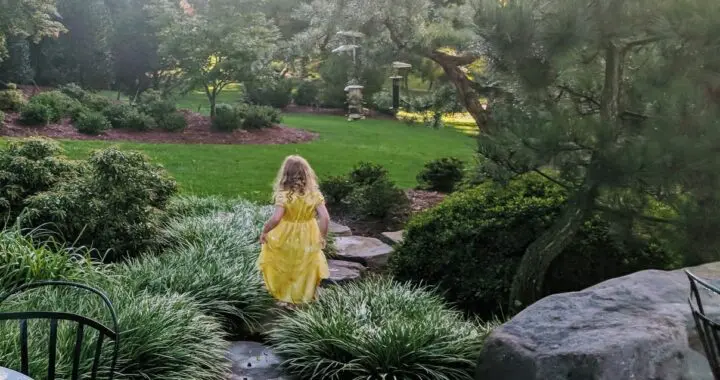 &Quot;. . . Everyone Needs A Green Place In His Life, A Place Where You Can Be Whatever You Want To Be, A Place Where You Feel Alive And Ageless.&Quot; 341352507 943492060330510 423526201184897867 N