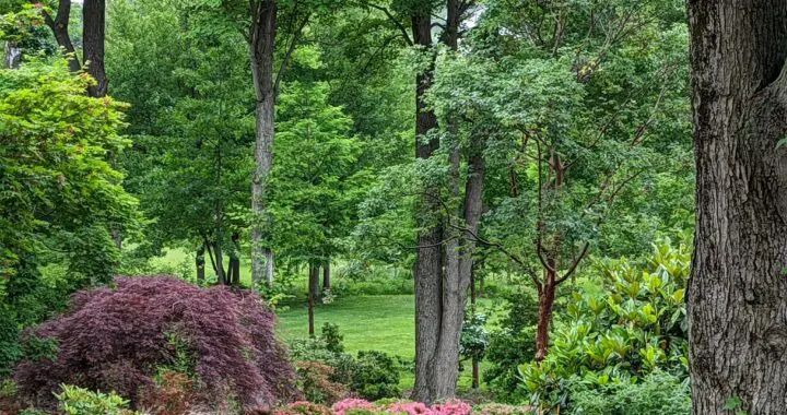 Garden Revelations 4 Garden Revelations 342639309 1699868423783431 2143310028368785566 N 1