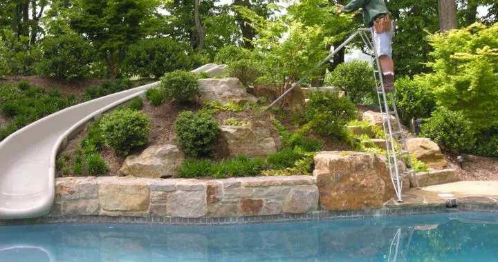 The Priorities Of Good Pruning (Part 1) 1 The Priorities Of Good Pruning (Part 1) 277745927 7534153593269082 2864667479720045820 N