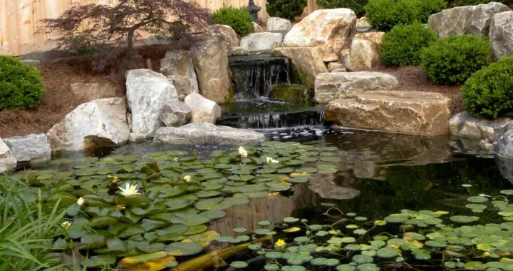 The Eye Of The Garden . . . 15 The Eye Of The Garden . . . 352570179 957122541910126 7331371196787285061 N