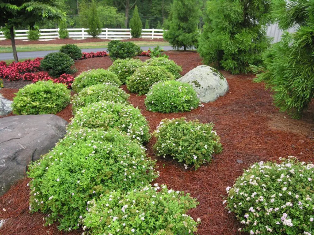 Landscape &Amp; Garden Projects Lm011