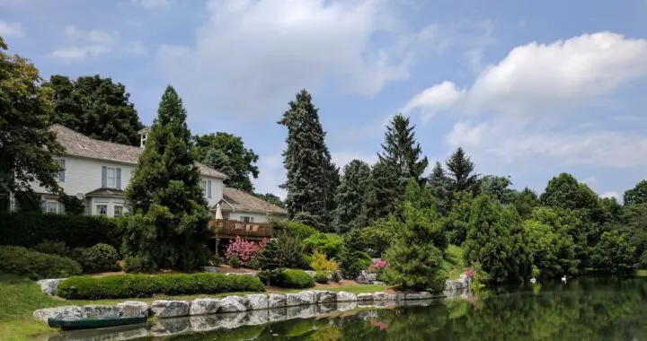 Summer Noon 15 Summer Noon 354054845 961661171456263 3527959820927425487 N