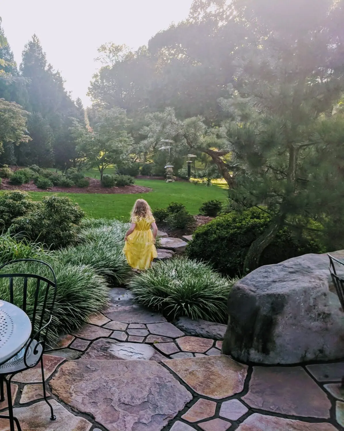 Landscape &Amp; Garden Projects 354240446 961648144790899 1730573532225378191 N Scaled