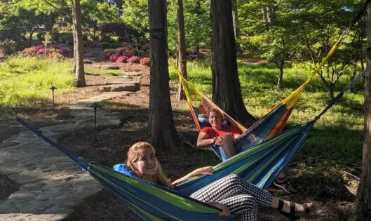TAKE A FOREST BATH–IT’S GOOD FOR YOU! (PART 2)_featured_image