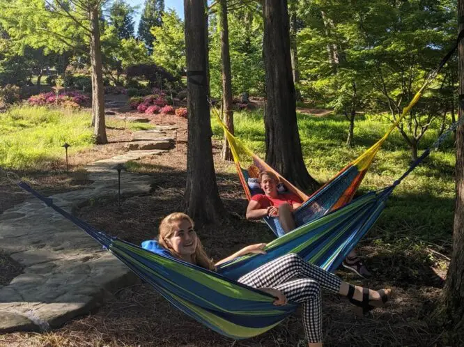 TAKE A FOREST BATH–IT’S GOOD FOR YOU! (PART 2)_featured_image