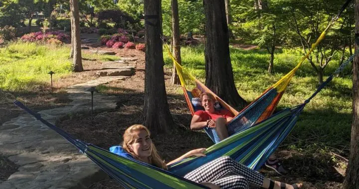 Take A Forest Bath--It'S Good For You! (Part 2) 11 Take A Forest Bath--It'S Good For You! (Part 2) 357402148 972355740386806 3248406923382618964 N