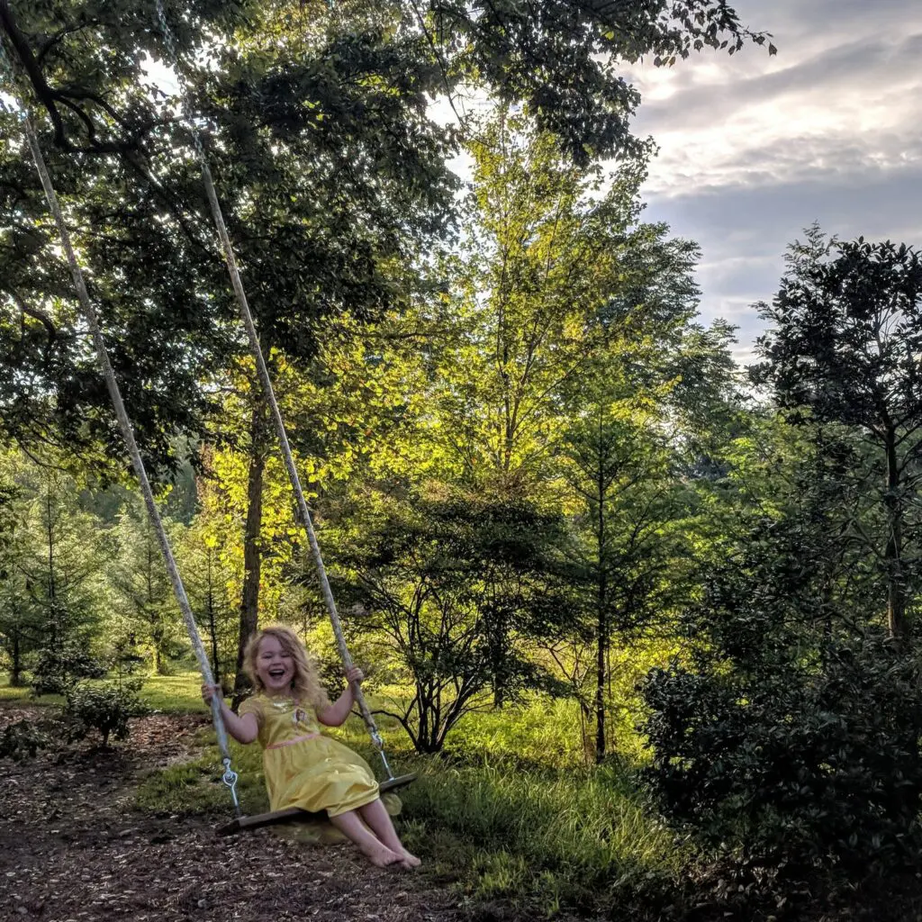 Take A Forest Bath--It'S Good For You! (Part 2) 2 Take A Forest Bath--It'S Good For You! (Part 2) 358355371 972355057053541 598782626280476701 N