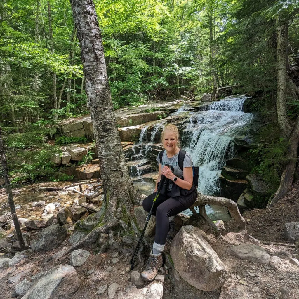 Take A Forest Bath--It'S Good For You! 3 Take A Forest Bath--It'S Good For You! 358382331 972340743721639 8253819805271752137 N