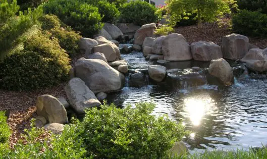 FALLING WATERS_featured_image