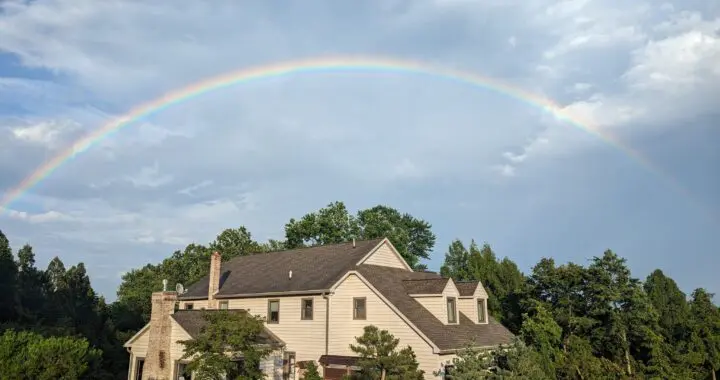 Garden Views In Summer . . . . 6 Garden Views In Summer . . . . 362638900 983238405965206 764205709490892322 N