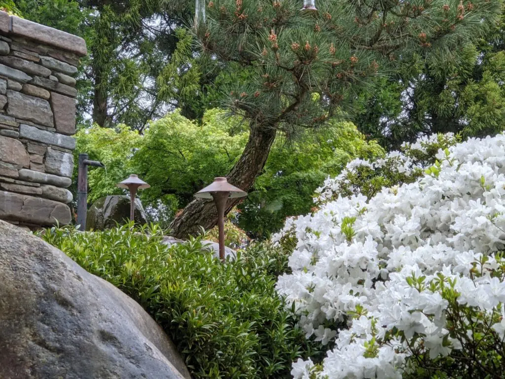 &Quot;Inside Out&Quot; Gardens Io17 1