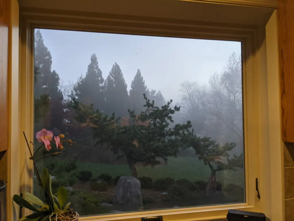 &Quot;Inside Out&Quot; Gardens 14 A View Through A Window Showing A Foggy, Tree-Filled Garden. Inside, On The Left Side Of The Window Sill, There Is A Blooming Orchid Plant. The Scene Outside Is Misty And Serene, With Shadows Of Trees Visible Through The Fog.