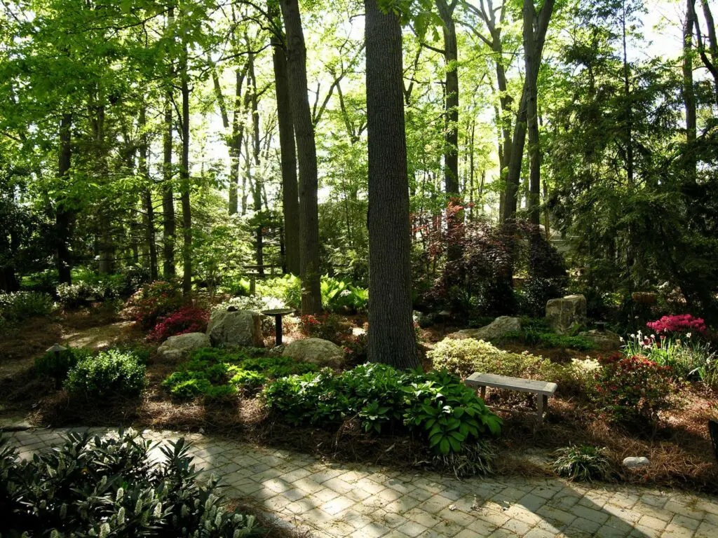 Woodland And Shade Gardens 12 A Serene Garden With Tall Trees Providing Ample Shade, Featuring A Variety Of Shrubs And Flowering Plants. Stone Benches Are Placed Along A Winding Paved Path, Inviting Visitors To Sit And Enjoy The Tranquil, Verdant Surroundings.
