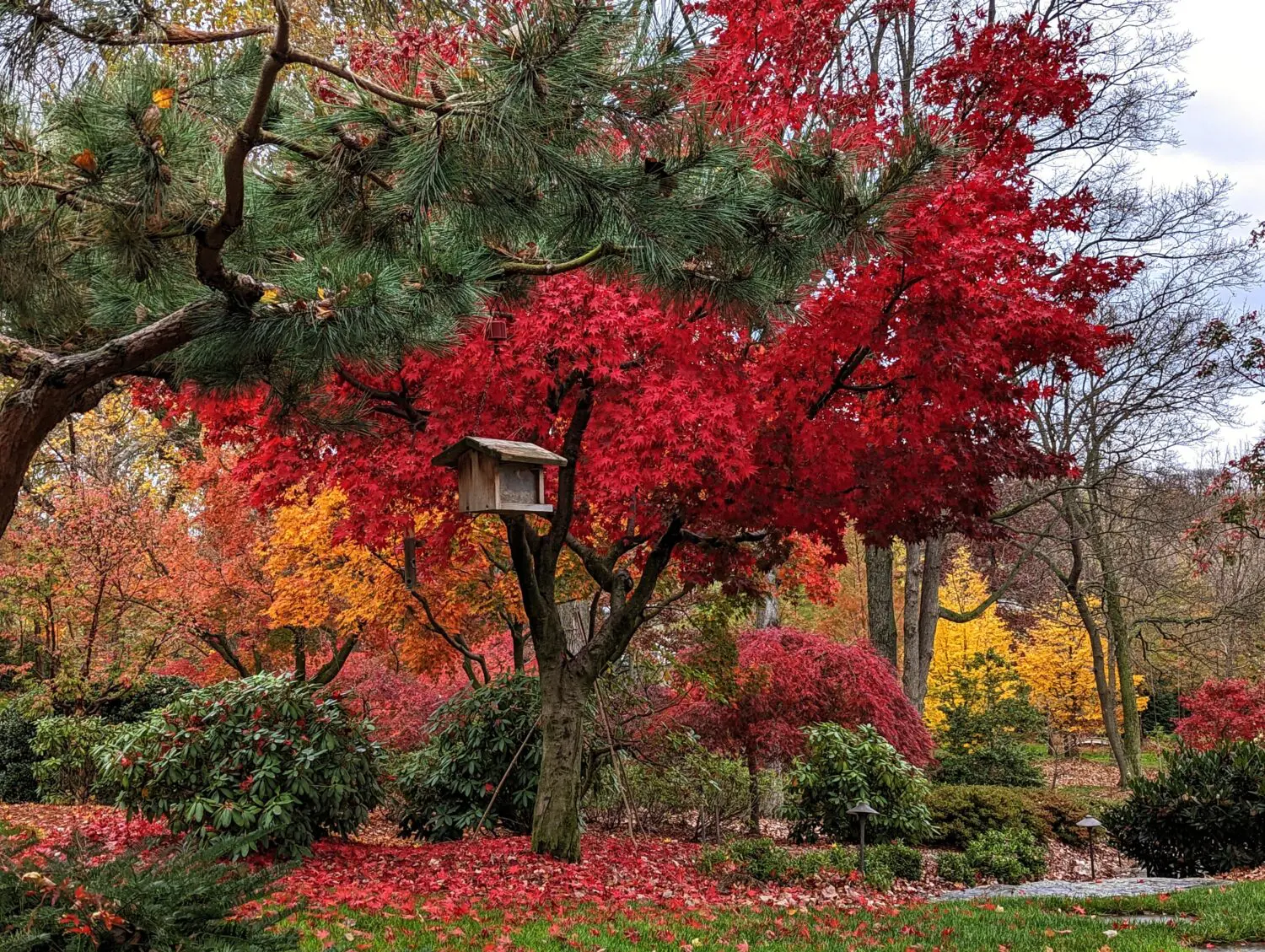Woodland And Shade Gardens 10 A Wooden Birdhouse Hangs From A Branch In A Vibrant Autumn Garden. The Scene Features Trees With Bright Red And Yellow Leaves, A Lush Green Lawn, And Various Shrubs. Fallen Leaves Cover The Ground, Adding To The Picturesque Fall Landscape.