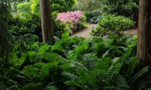 A PLACE TO BREATHE DEEPLY . . . ._featured_image