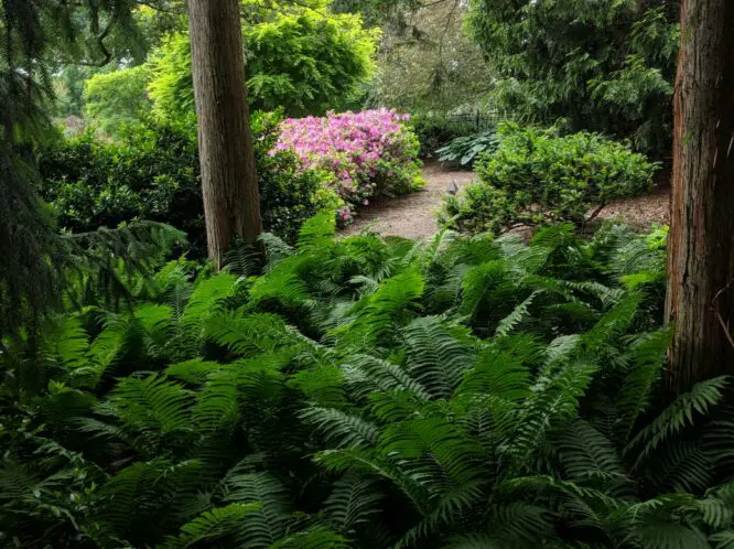A PLACE TO BREATHE DEEPLY . . . ._featured_image