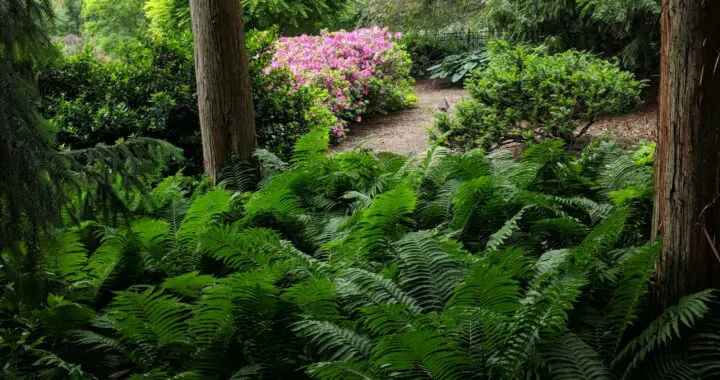 A Place To Breathe Deeply . . . . 4 A Place To Breathe Deeply . . . . 358388549 972381510384229 5408954079229417085 N