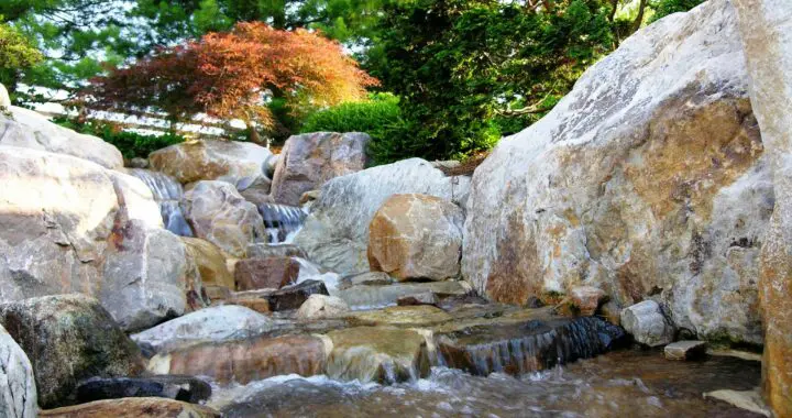 Beauty Overflowing 13 Beauty Overflowing 361386137 983231335965913 8384357936385732397 N