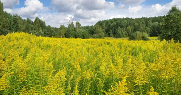 September 3 September 362630547 983234405965606 7189754680456057185 N