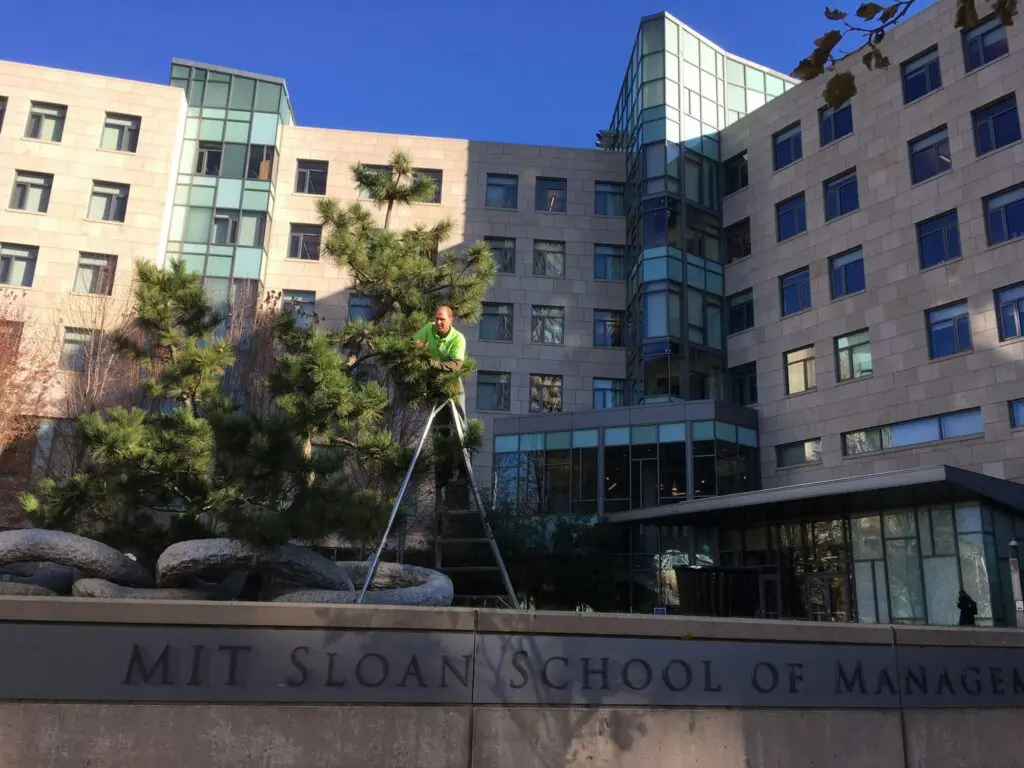 Landscape &Amp; Garden Projects Co09