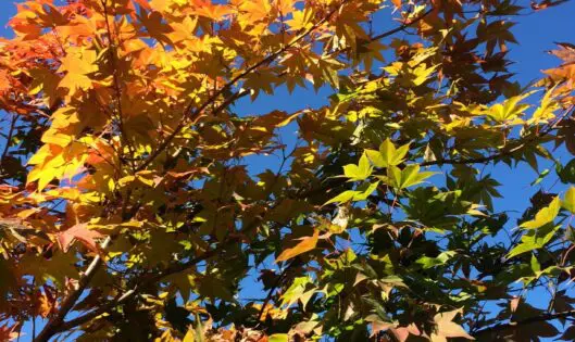 COLOR YOUR WORLD!_featured_image