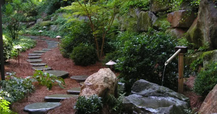 Japanese Gardens: A Quick Look At Why &Amp; How 354437260 961678838121163 1133446135364109518 N
