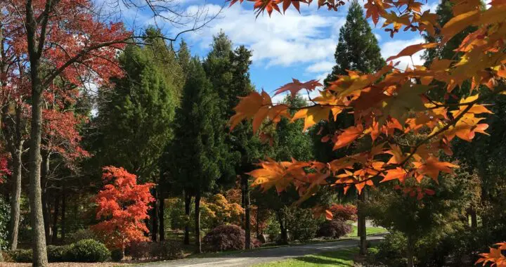 &Quot;I'M So Glad I Live In A World Where There Are Octobers.&Quot; 366932084 995576931398020 8431362640040295459 N