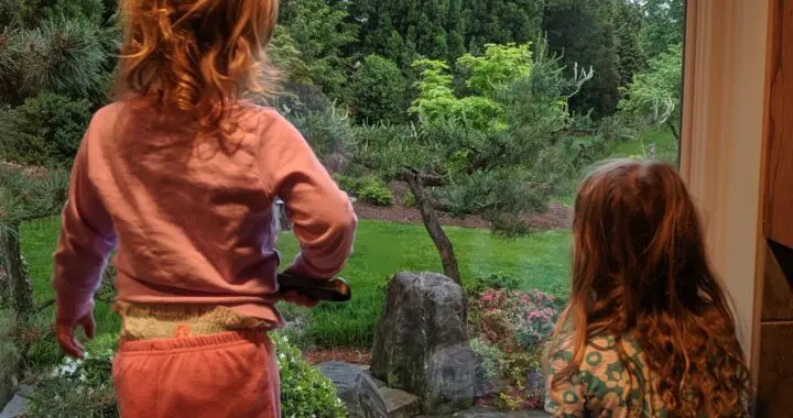 Window Treatments 366955492 995571801398533 7360191721881885857 N