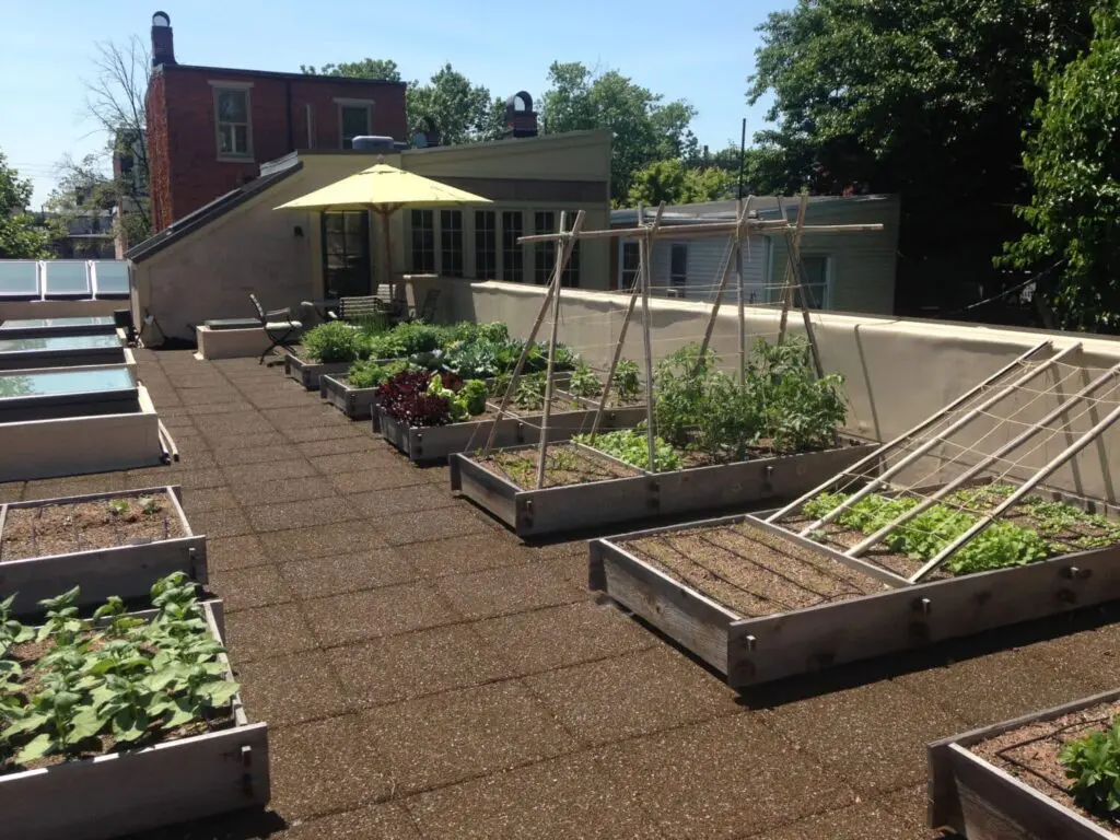 Permeable Paving Tiles Transform This City Rooftop Garden | Hanselman Gardens