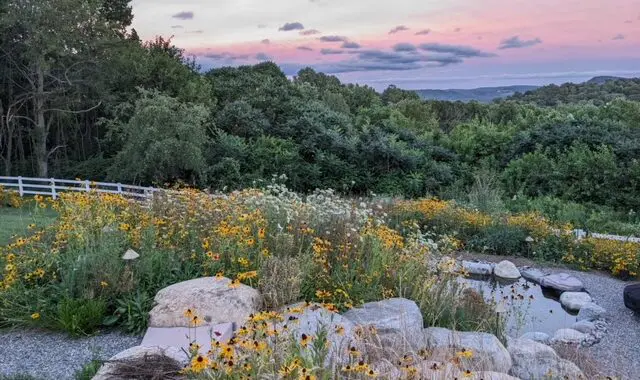 A Place In The Sun . . . . Part 2 7 A Place In The Sun . . . . Part 2 383346144 1025518898403823 370371519560655395 N