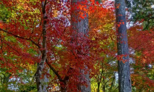 THE YEAR’S GRAND FINALE_featured_image