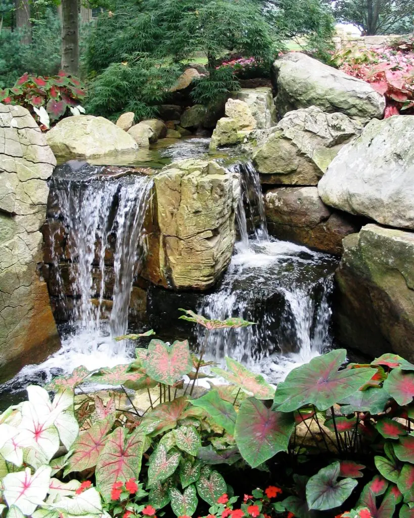Falling Water 3 Falling Water 385033536 1025532361735810 417664429038540073 N
