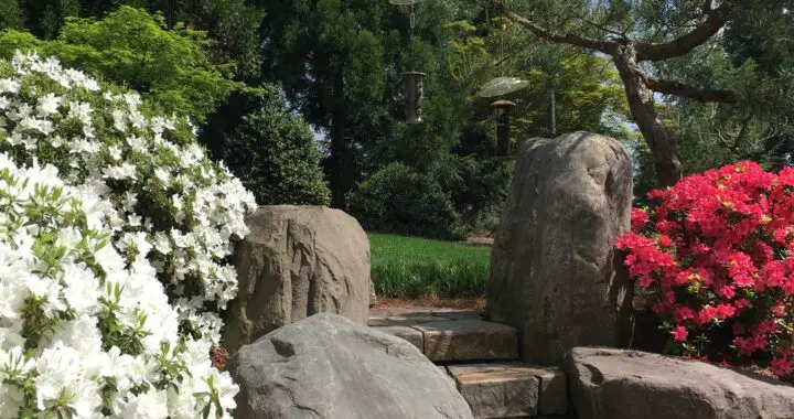 A Beautiful World . . . Right Outside Our Doors! 2 A Beautiful World . . . Right Outside Our Doors! 366945748 999636660992047 4604428844199857624 N